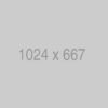 RPtote1_1024x1024